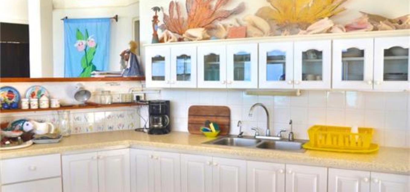 vacation-rentals/st-vincent-and-the-grenadines/palm-island/palm-island/wildflower-villa