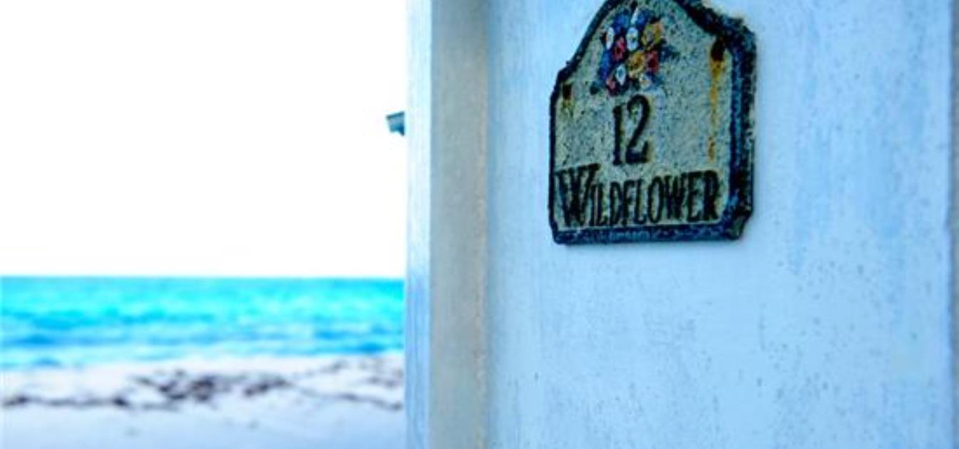 vacation-rentals/st-vincent-and-the-grenadines/palm-island/palm-island/wildflower-villa