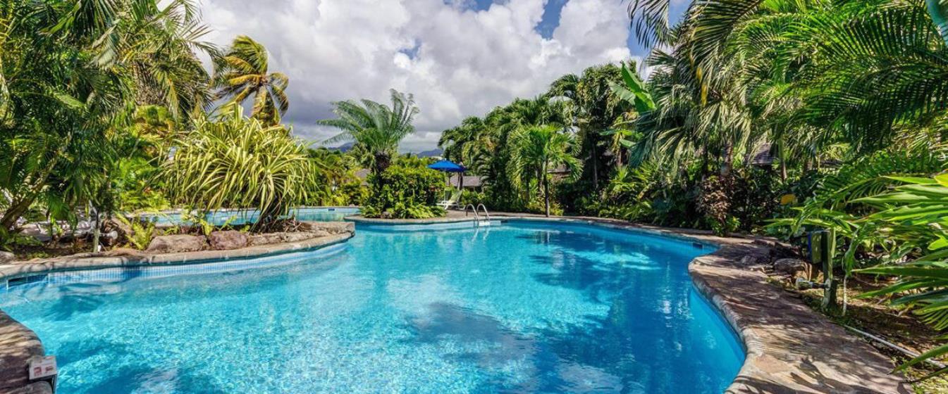 vacation-rentals/st-vincent-and-the-grenadines/st-vincent/young-island/young-island-duvernette-suite