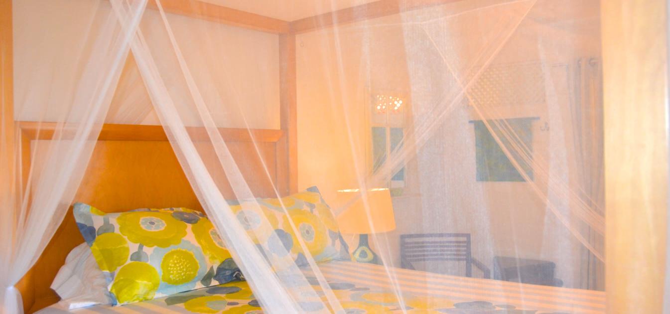 vacation-rentals/st-vincent-and-the-grenadines/bequia/belmont/aqua-lower-apt-yellowtail