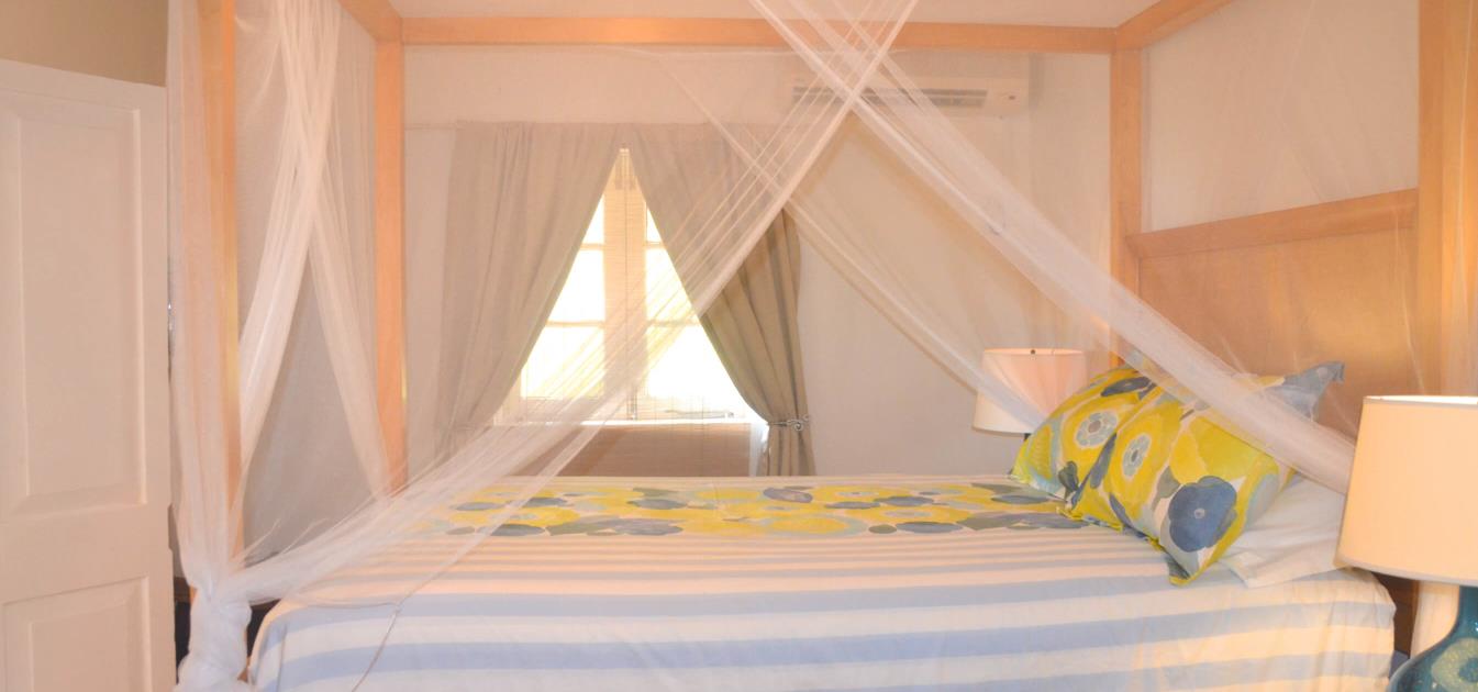 vacation-rentals/st-vincent-and-the-grenadines/bequia/belmont/aqua-lower-apt-yellowtail