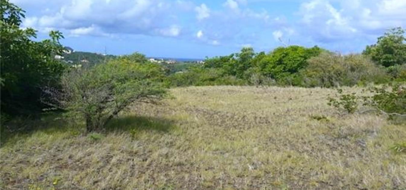 June St Cap Estate Land