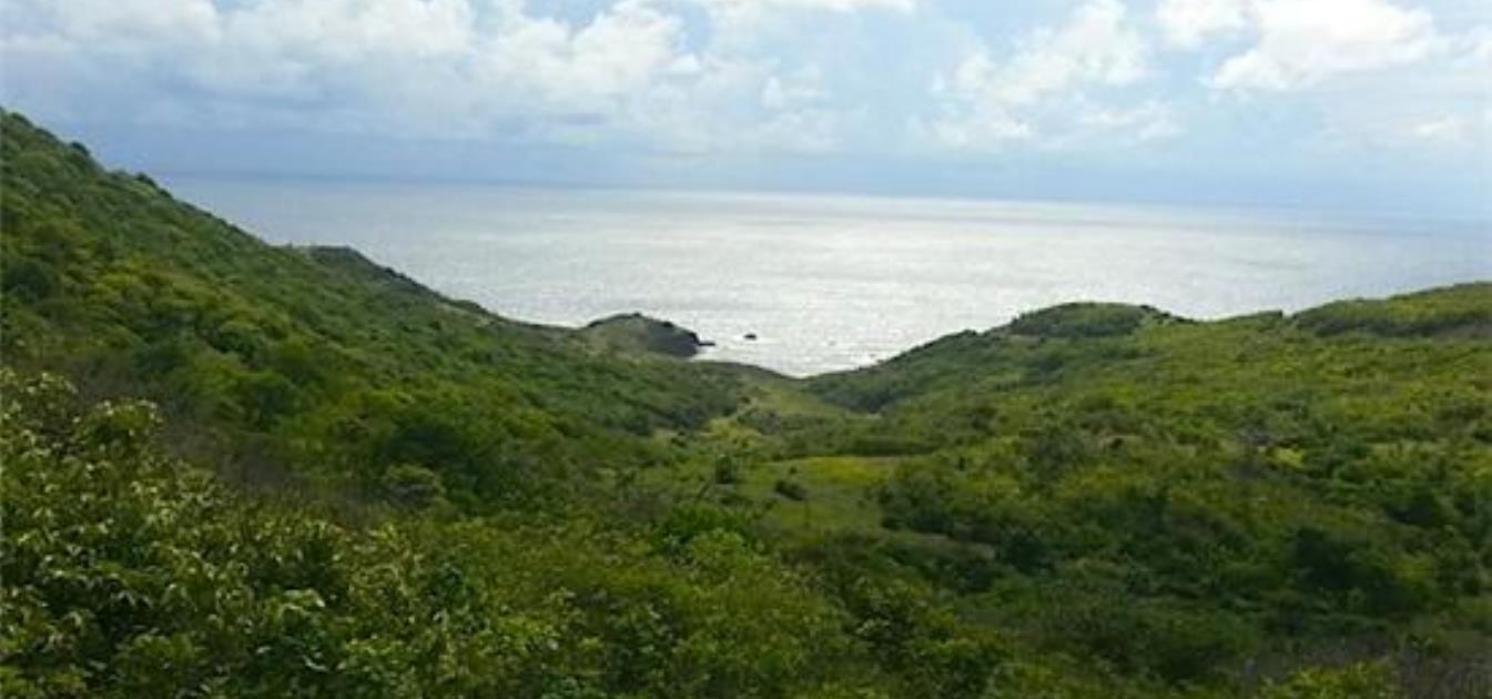 June St Cap Estate Land