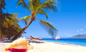 Island Loft - Palm Island Resort