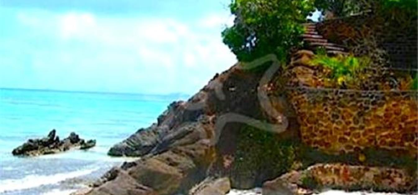 Tamarind Villa Palm Island