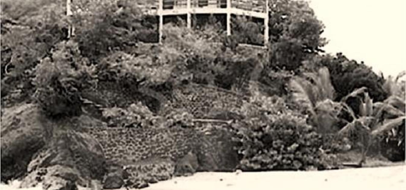 Tamarind Villa Palm Island