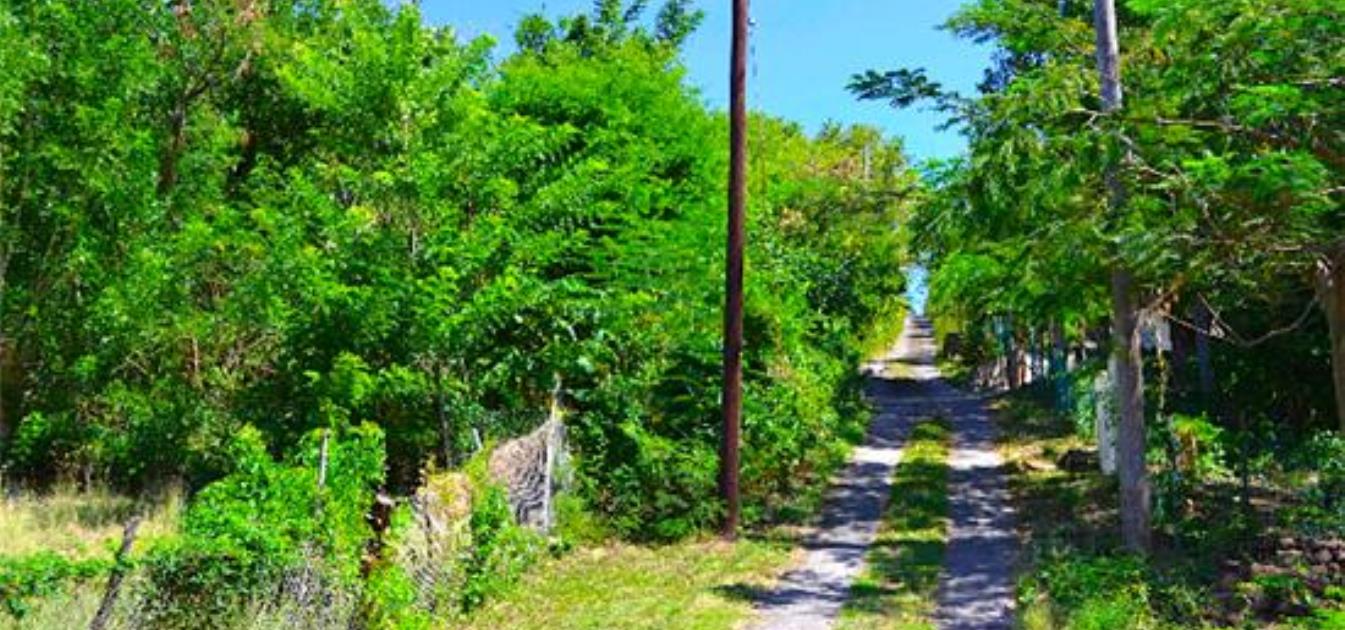 vacation-rentals/st-vincent-and-the-grenadines/bequia/ocar/villa-barbara-apartment-sleeps-4