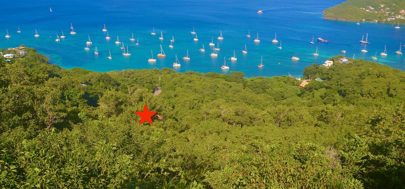 Tamanda House and Apartment