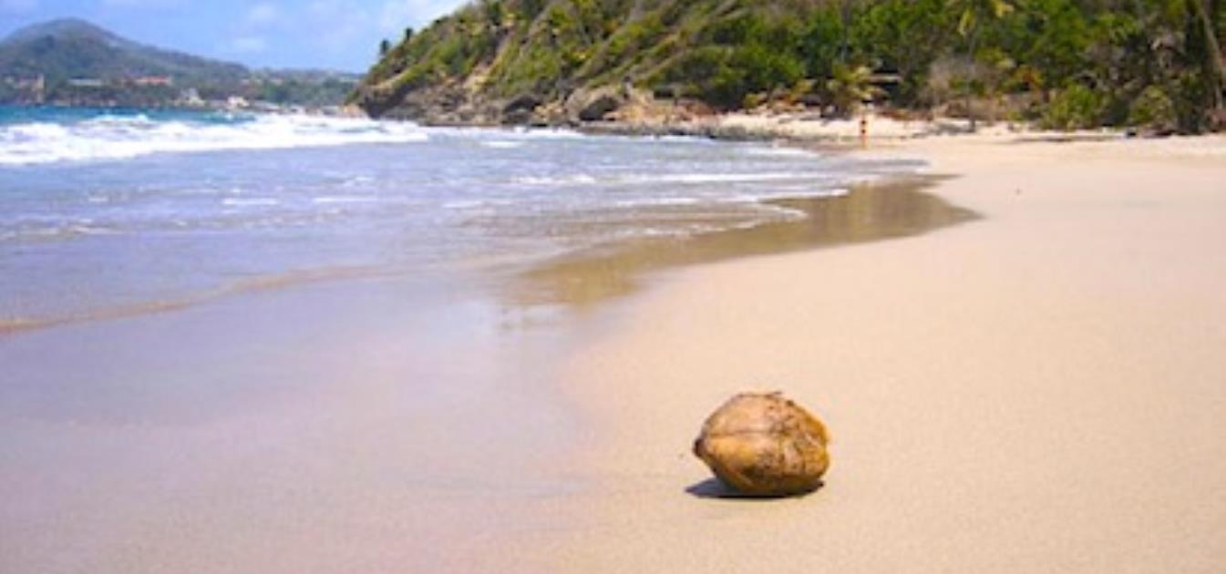 vacation-rentals/grenada/grenada-island/sauteurs/petite-anse-hotel