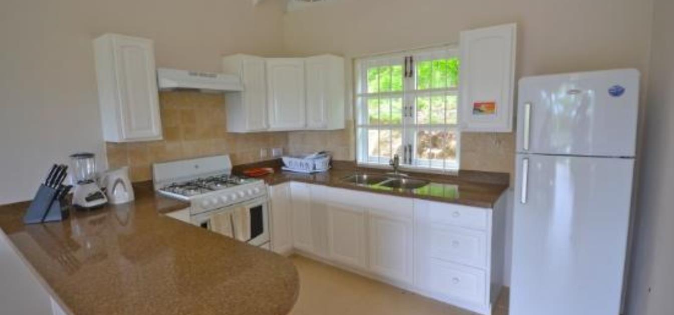 vacation-rentals/st-vincent-and-the-grenadines/bequia/lower-bay/francyn-villa