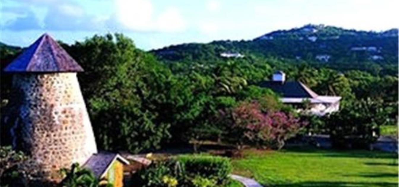 vacation-rentals/st-vincent-and-the-grenadines/mustique/endeavour-bay/cotton-house-deluxe-room-and-suites-