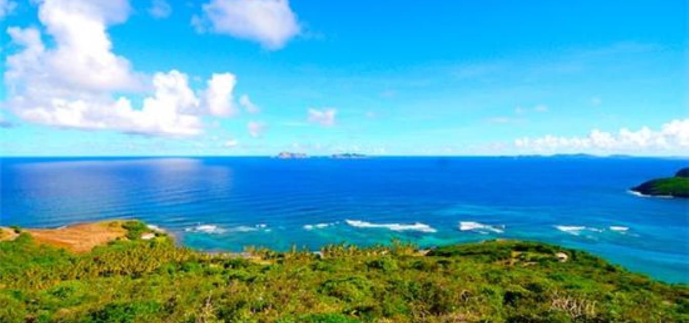 Ocean Ridge 1.1 Acres