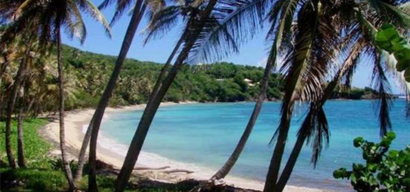 Ocean Ridge 1.1 Acres