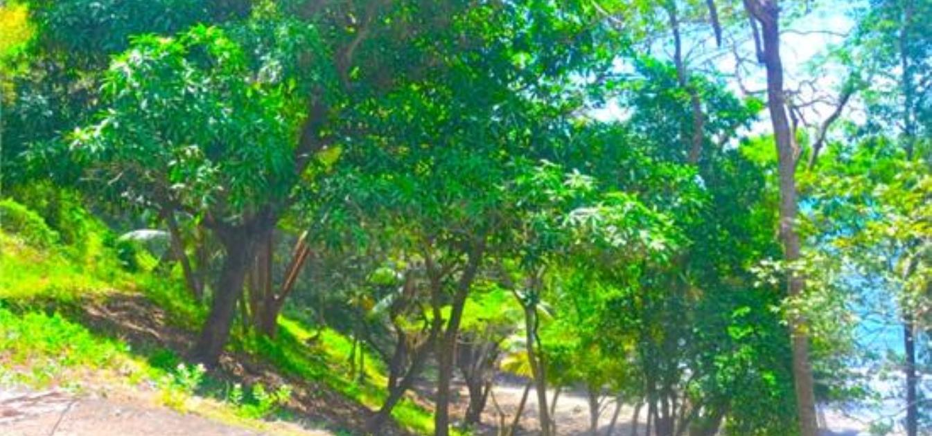 Beachfront Brighton Land