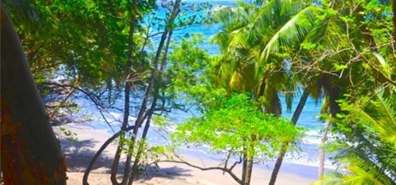 Beachfront Brighton Land