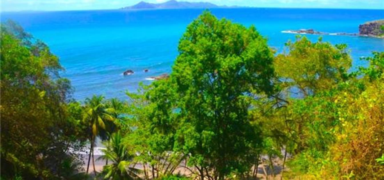 Beachfront Brighton Land