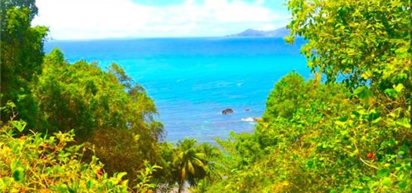 Beachfront Brighton Land