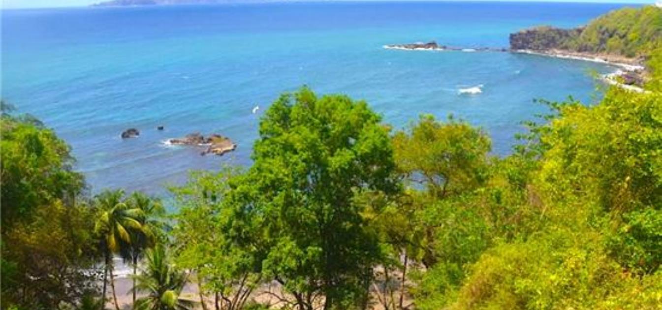 Beachfront Brighton Land