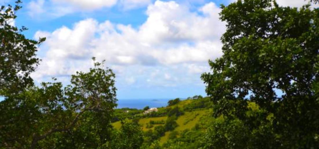 vacation-rentals/st-vincent-and-the-grenadines/bequia/hope-bay/cedar-villa