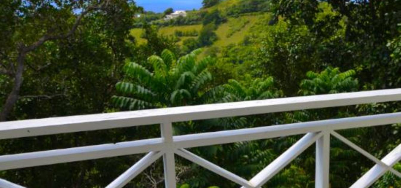 vacation-rentals/st-vincent-and-the-grenadines/bequia/hope-bay/cedar-villa