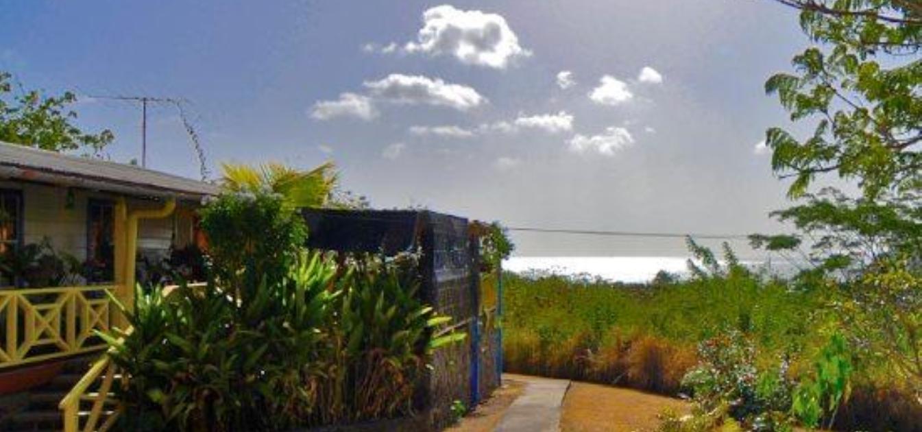 Bequia Breezes