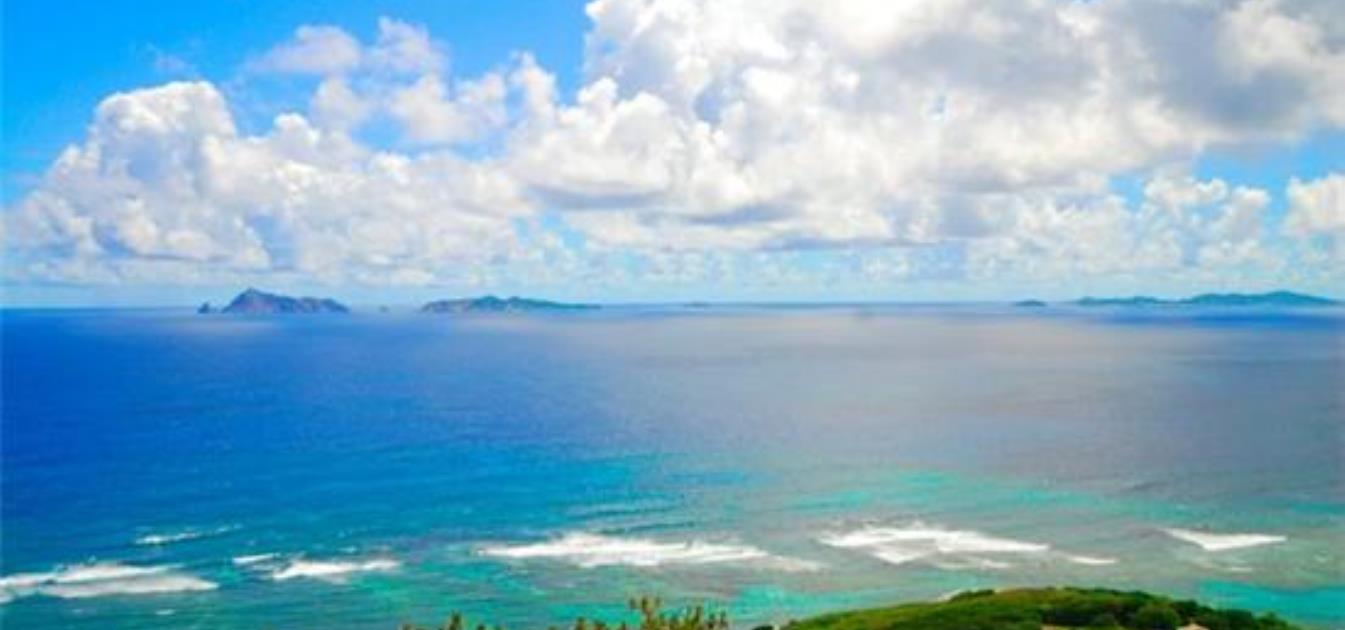 Ocean Ridge 1.3 Acres