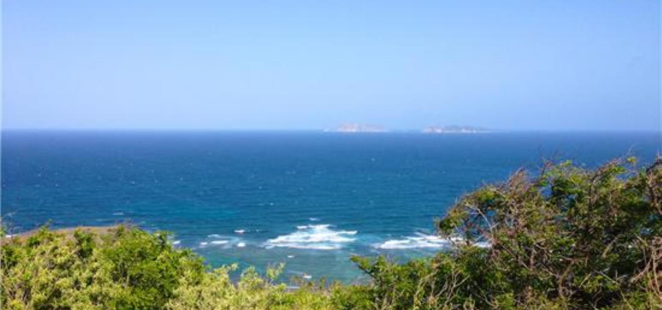 Ocean Ridge 1.3 Acres