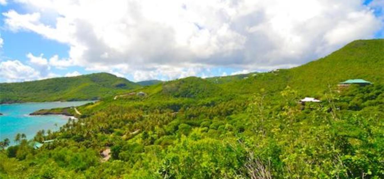 Ocean Ridge 1.3 Acres