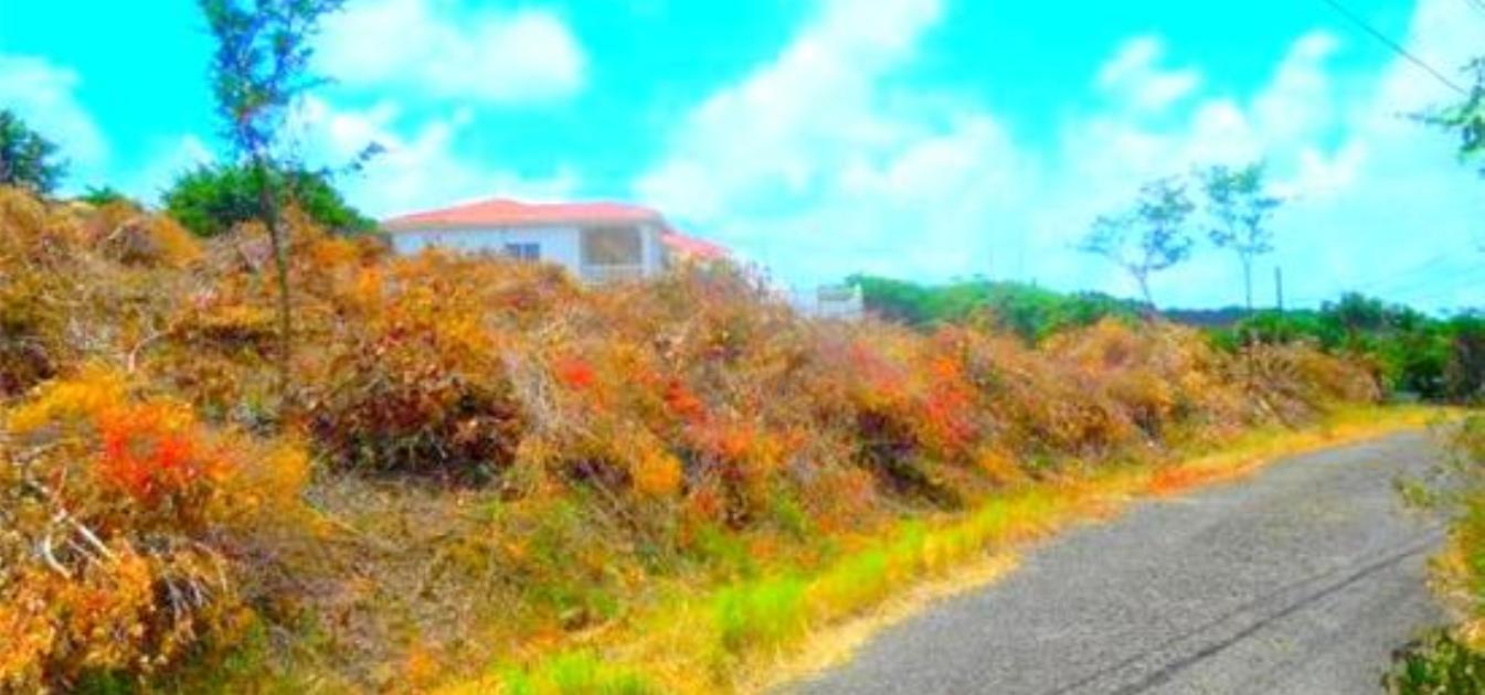 Cap Estate Land