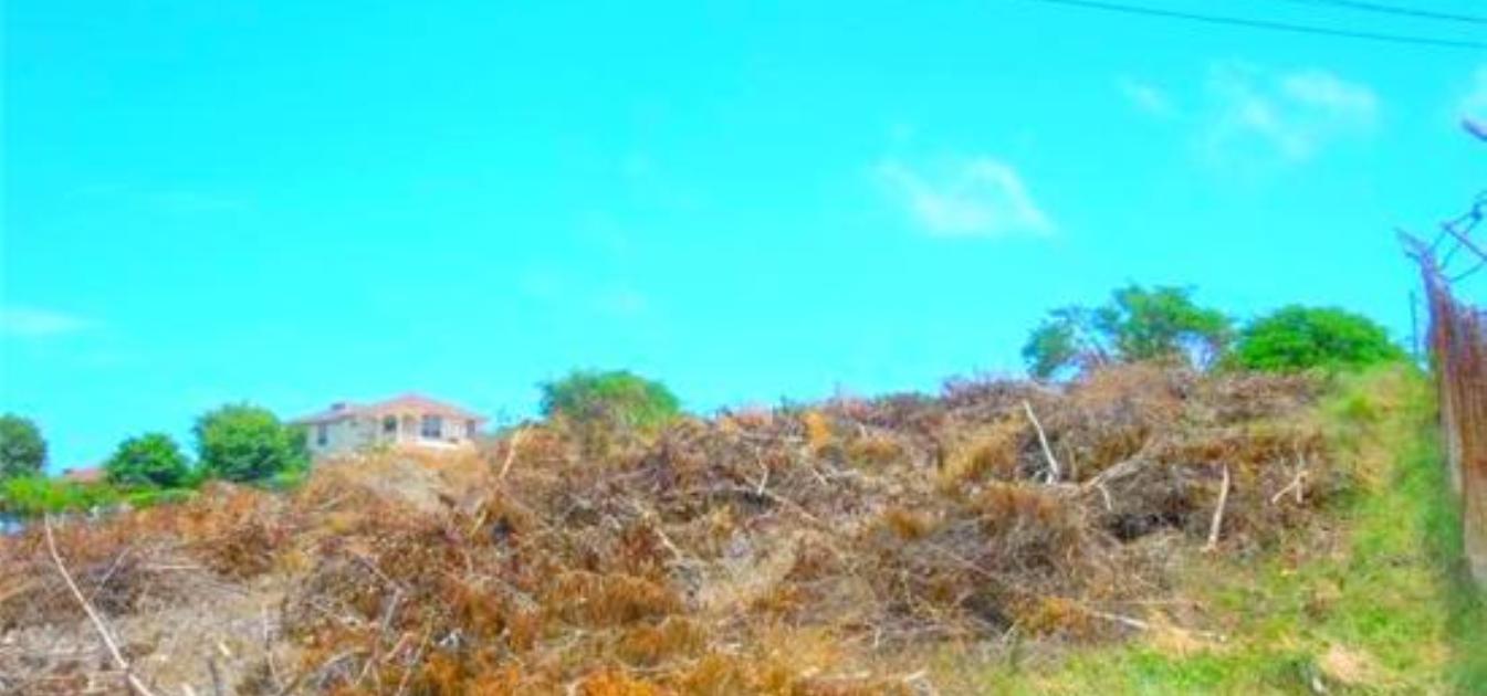 Cap Estate Land
