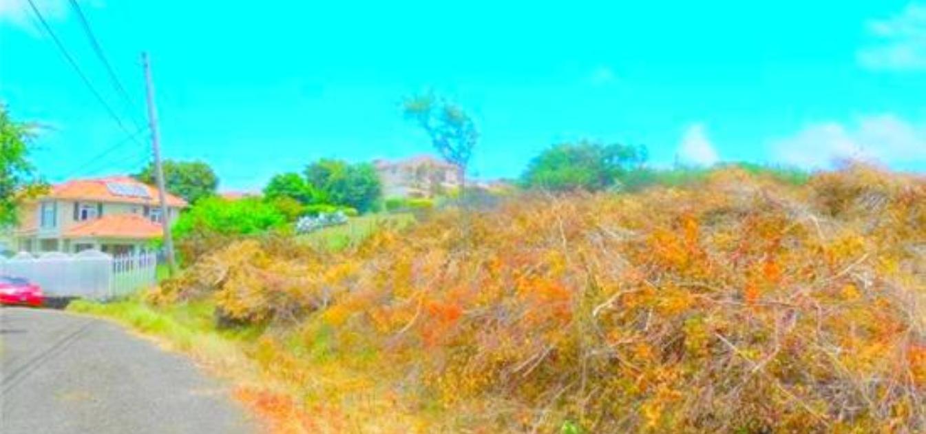 Cap Estate Land