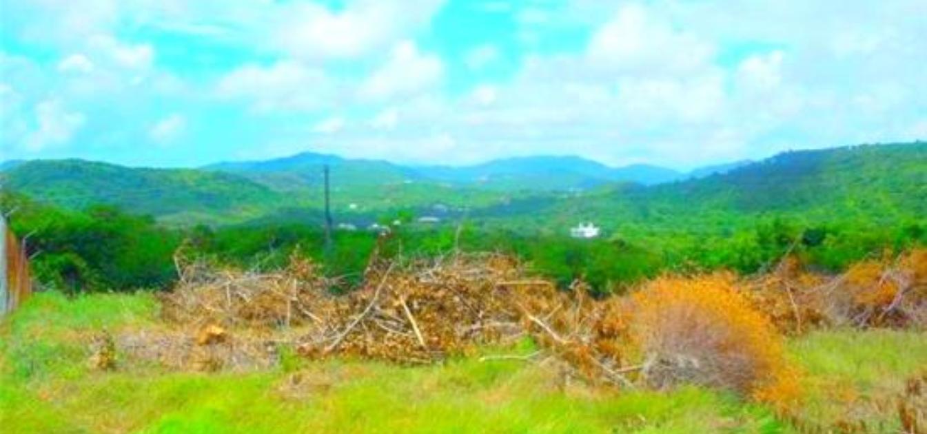 Cap Estate Land