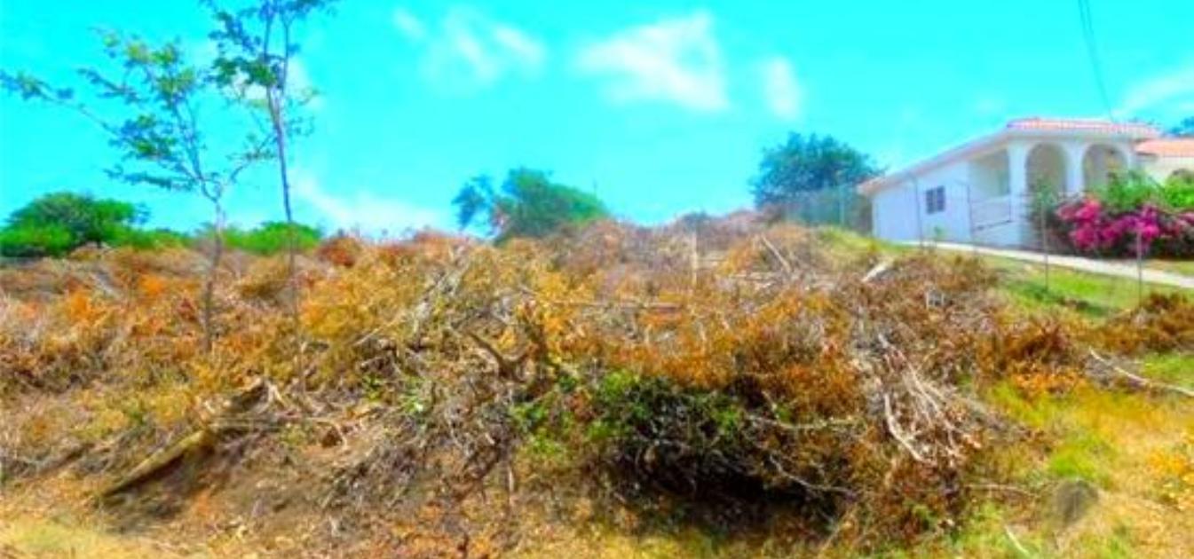 Cap Estate Land