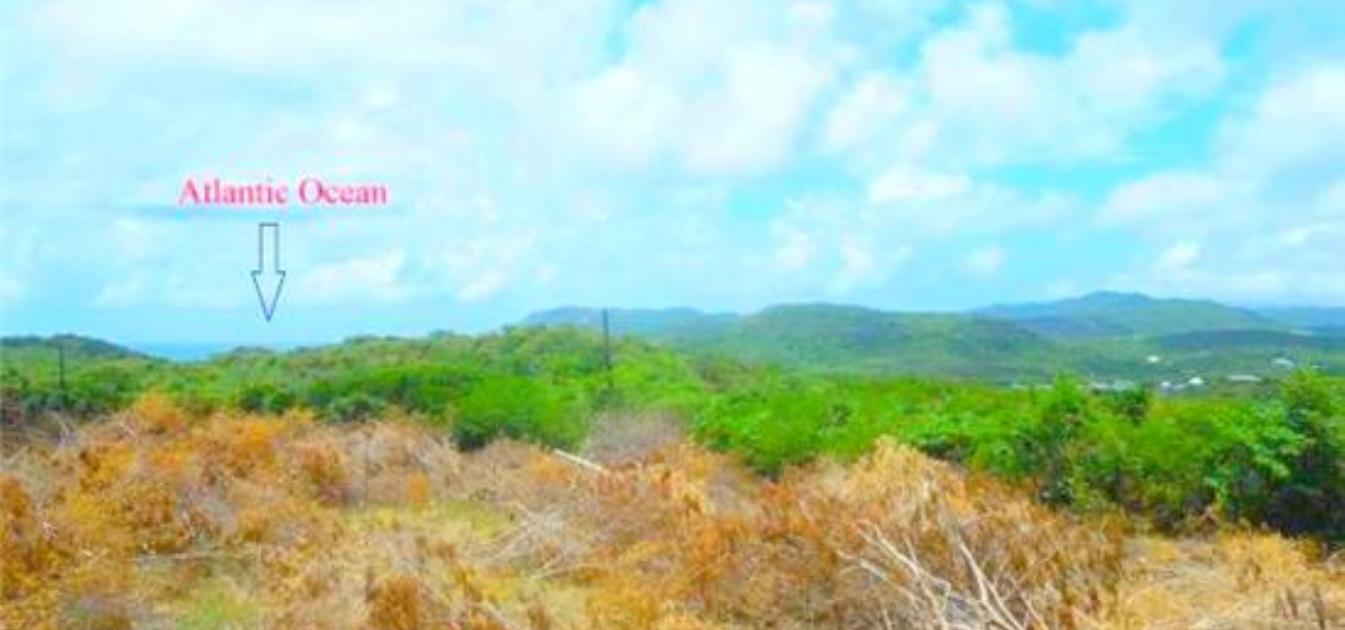 Cap Estate Land