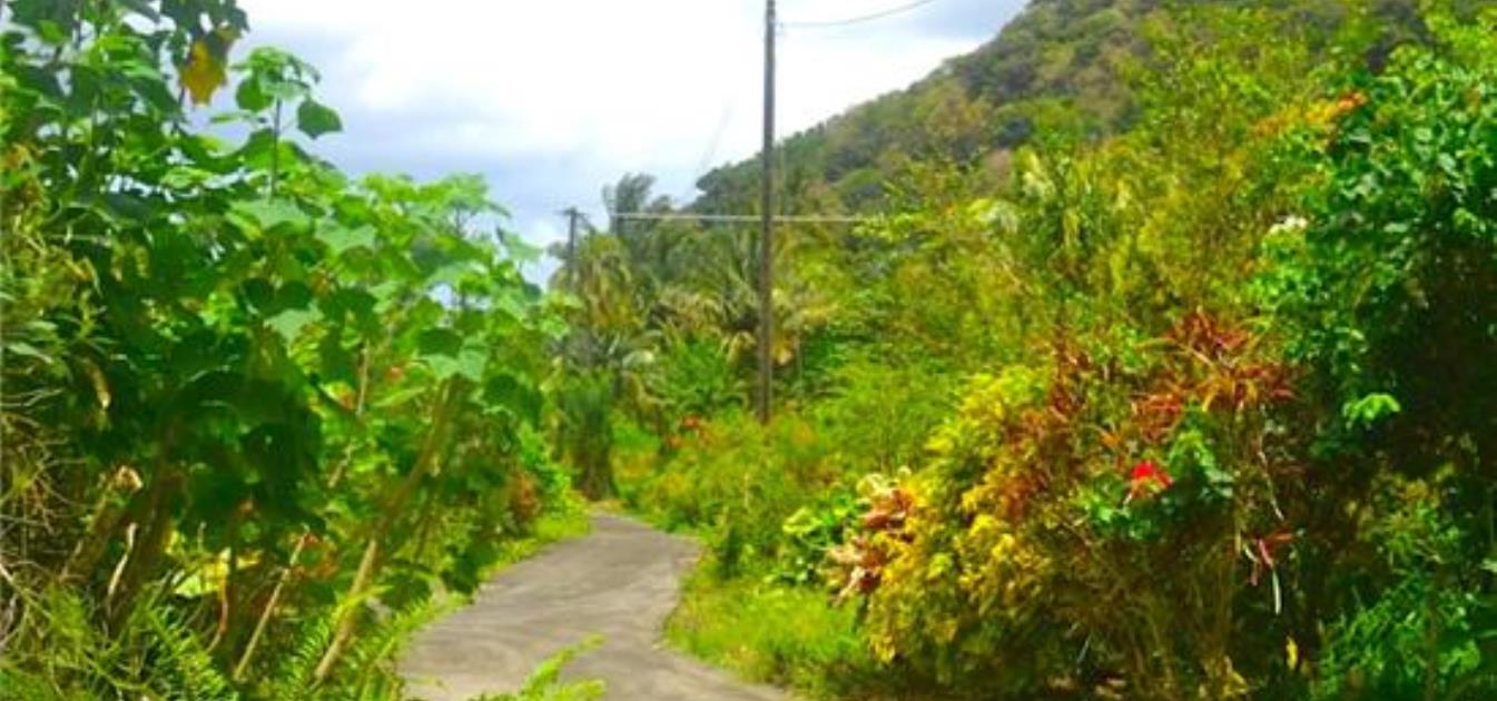 Lodge Mountain