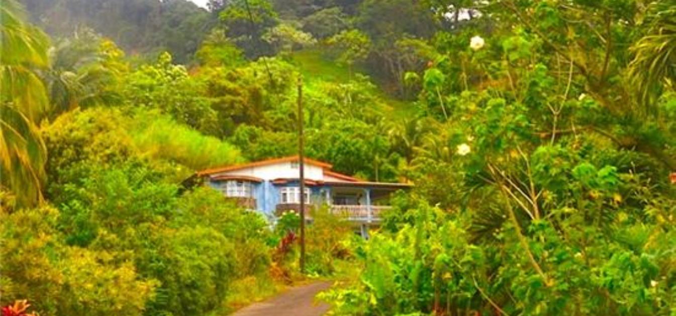 Lodge Mountain