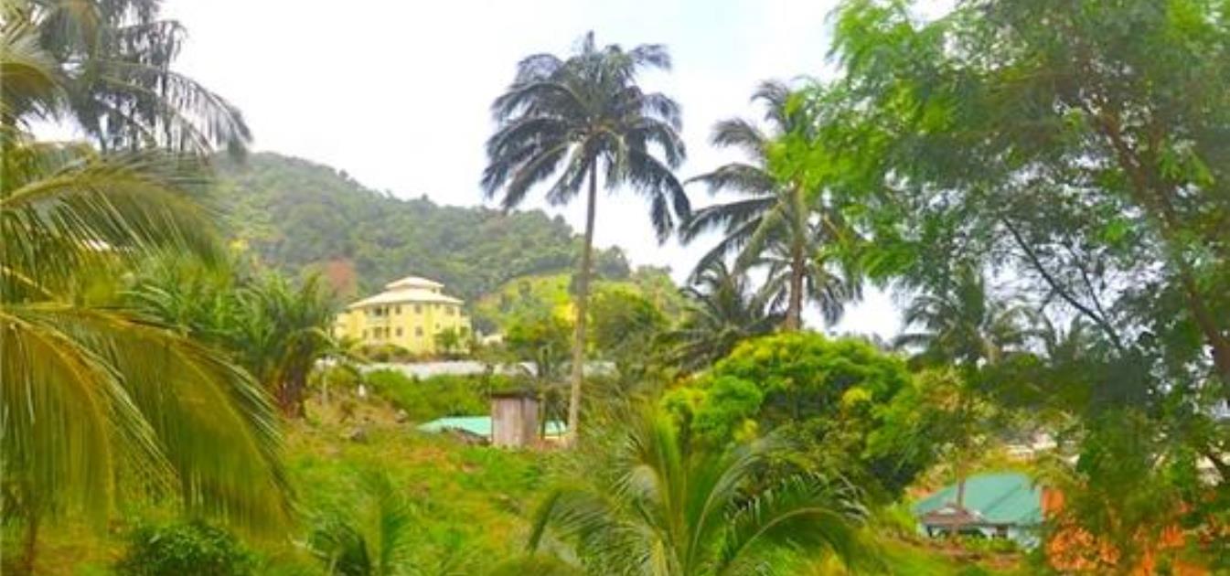 Lodge Mountain Land