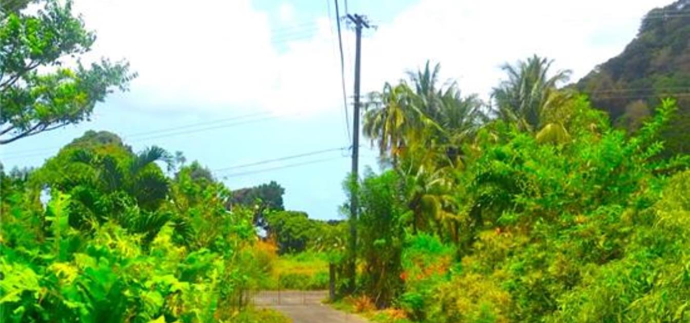 Lodge Mountain Land