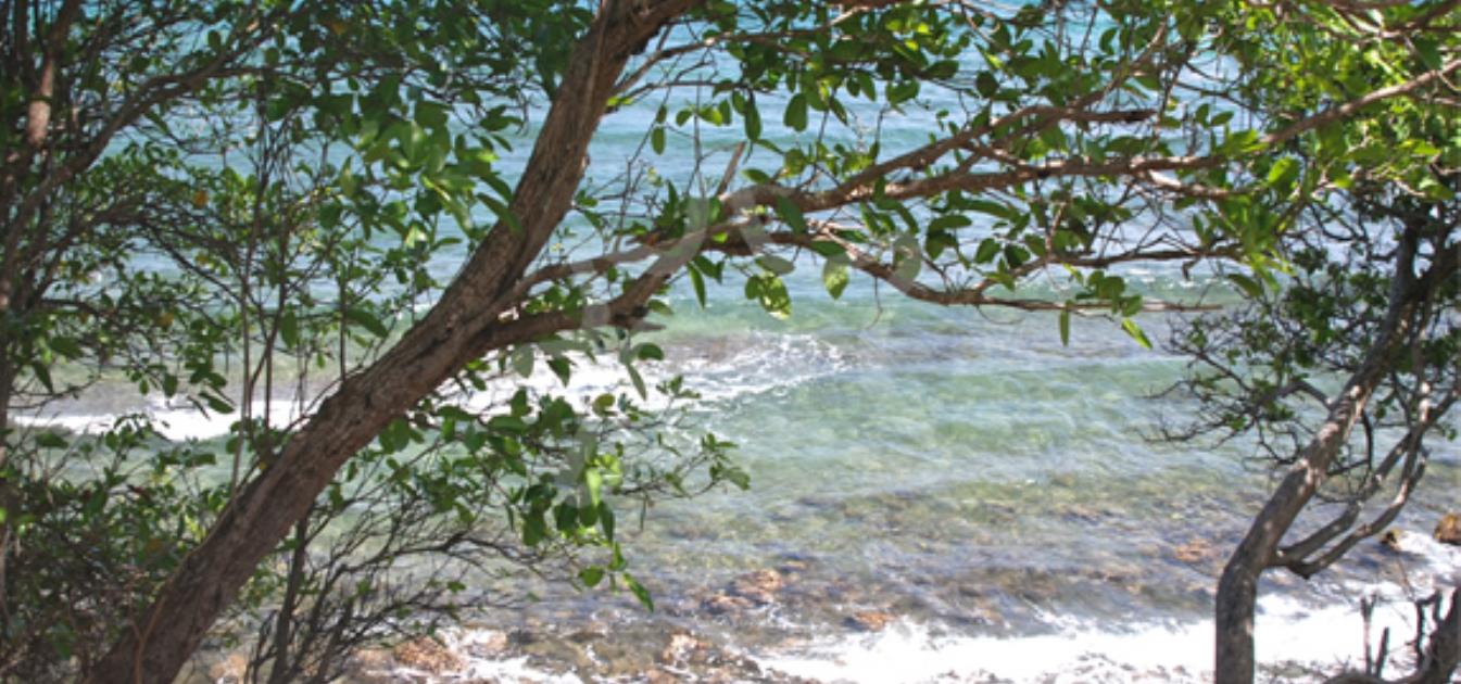 vacation-rentals/st-vincent-and-the-grenadines/bequia/la-pompe/la-luna-azul-lower