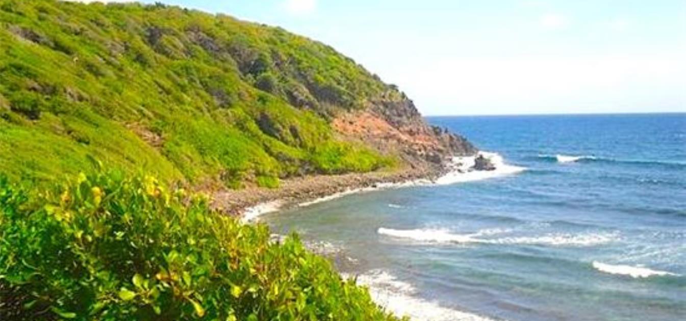 Oceanfront Lot 12  Spring Land