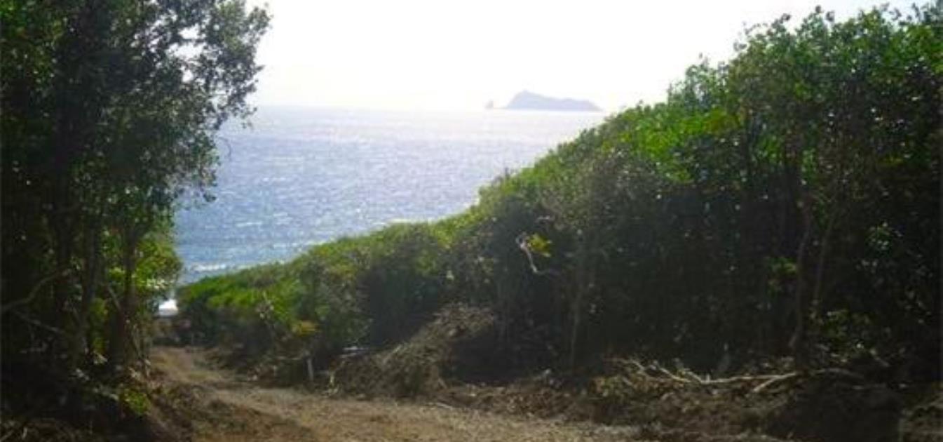 Oceanfront Lot 12  Spring Land