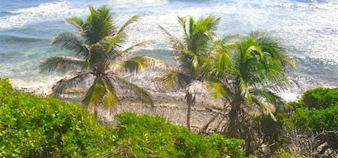 Oceanfront Lot 12  Spring Land