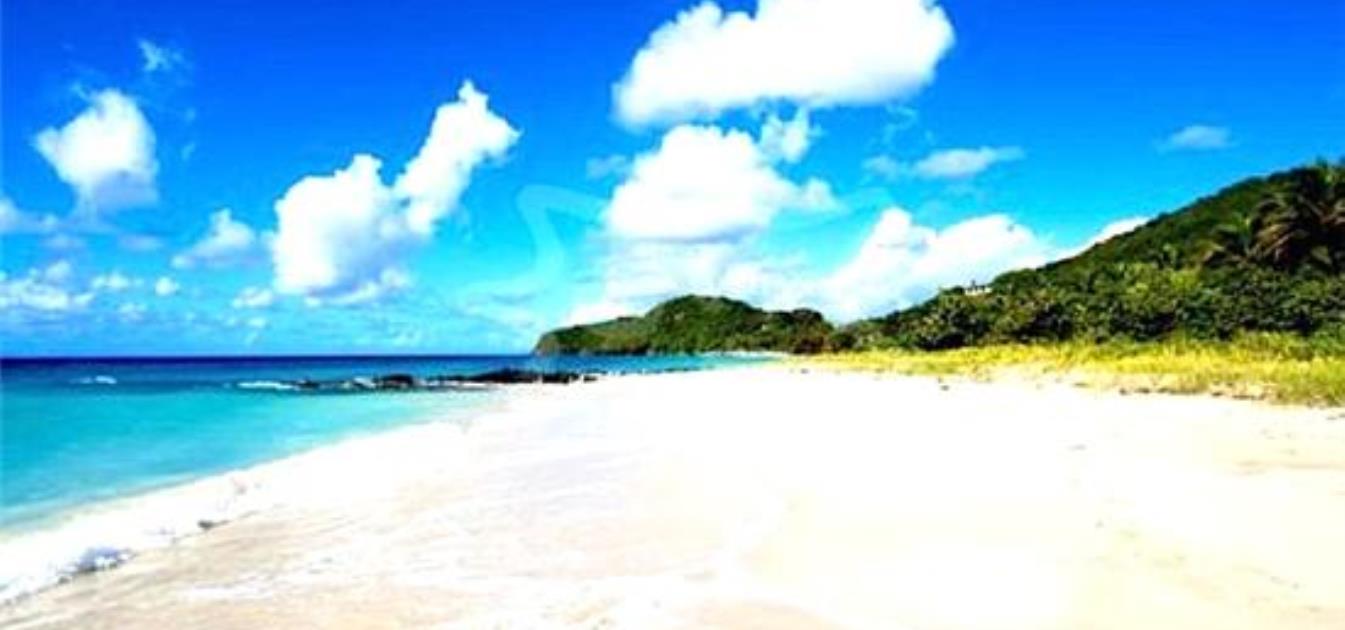 Beachfront Cottage 1 Bedroom