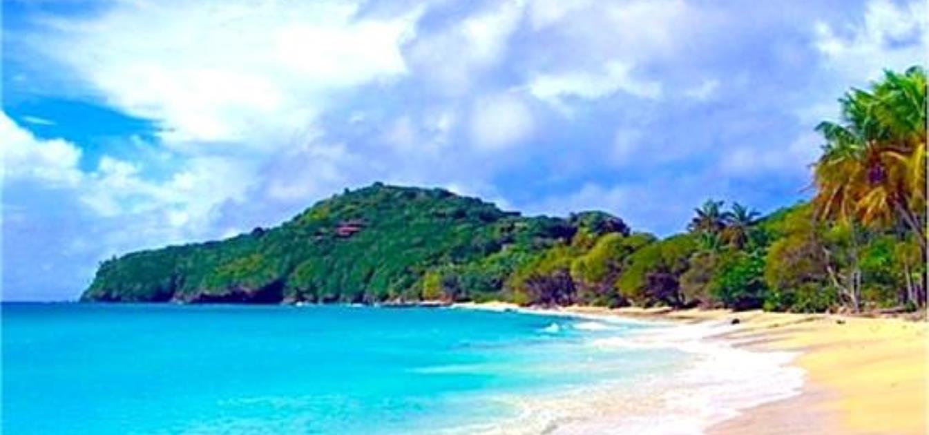 Beachfront Cottage 1 Bedroom
