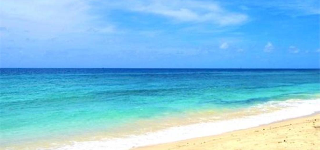 Beachfront Cottage 1 Bedroom