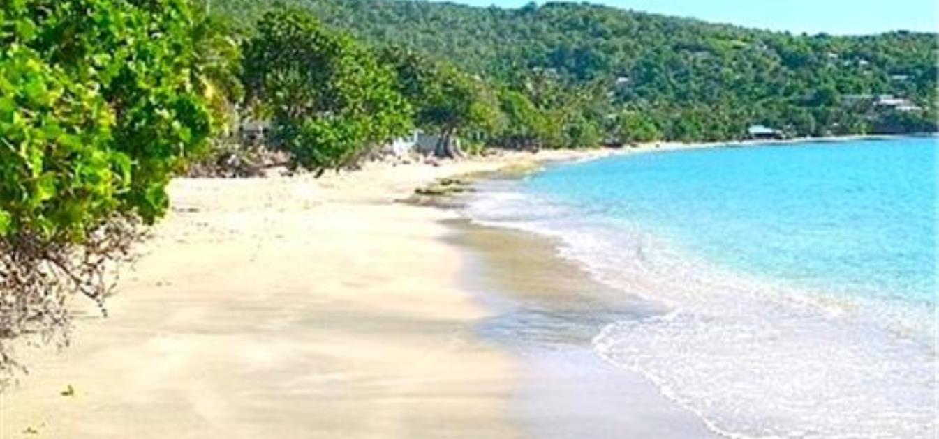 Friendship Bay Beach Land