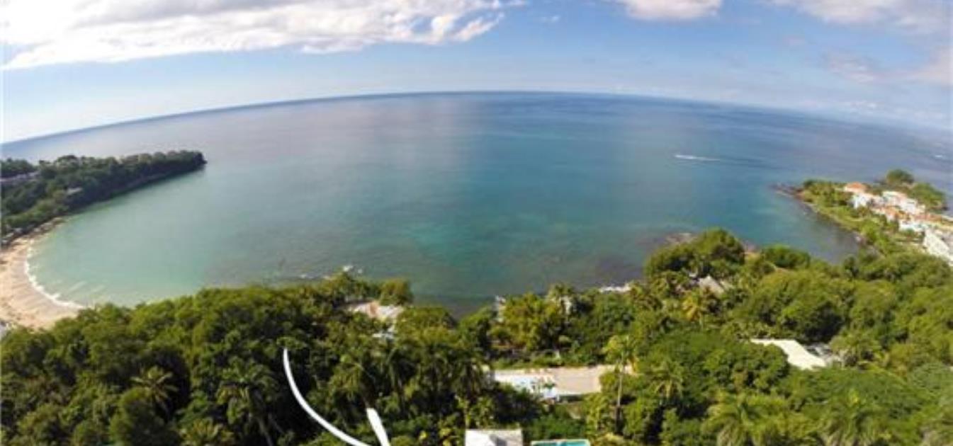 Butterfly Beach House