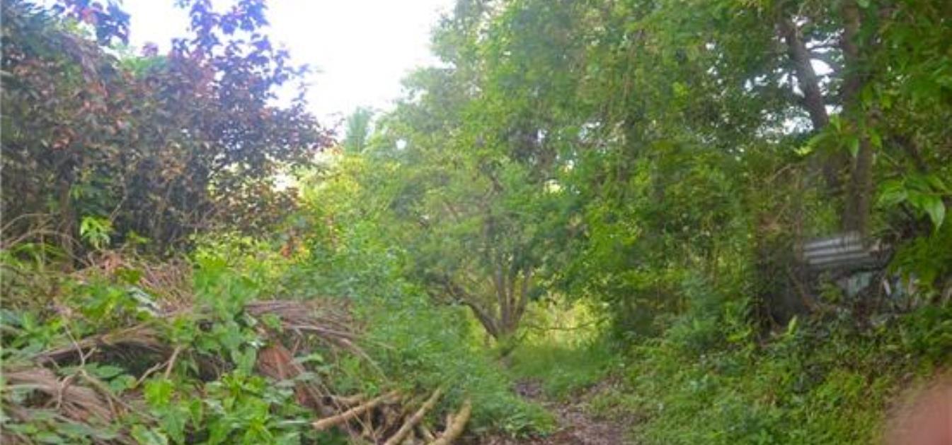 Mount Pleasant Admiralty Bay Side Parcel 4