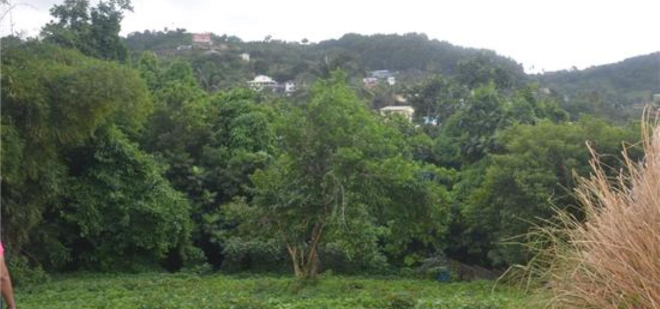Belair Land