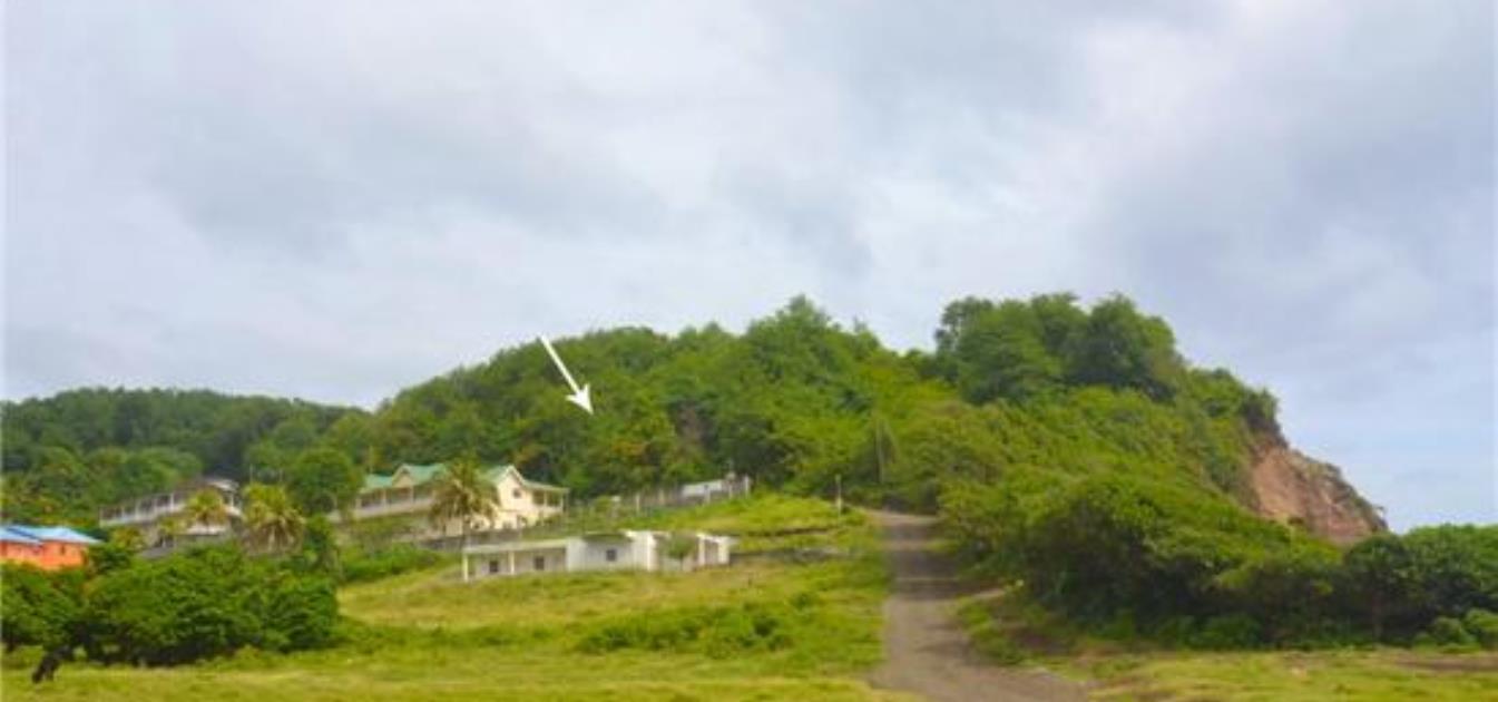 Mount Pleasant Land Lot 24